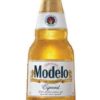 Modelo-Especial